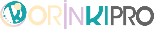 OrinkiPro, accueil